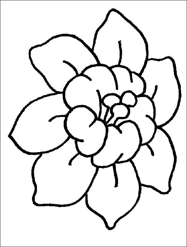 Раскраска Цветик семицветик. Раскраска 22