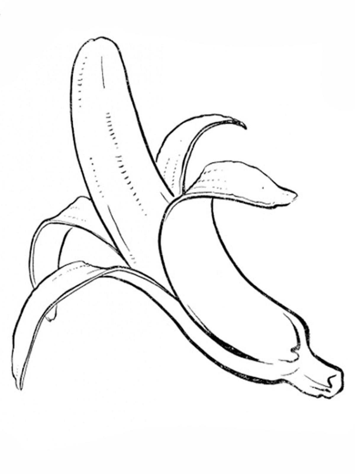 Раскраска Банан. Раскраска 9
