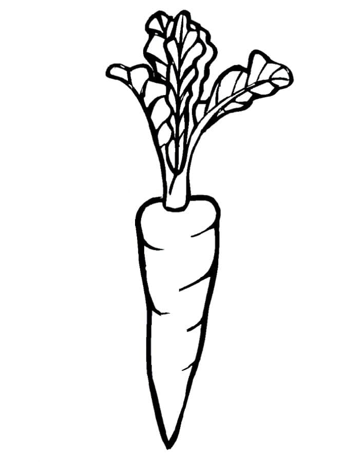 Раскраска Морковка. Раскраска 8