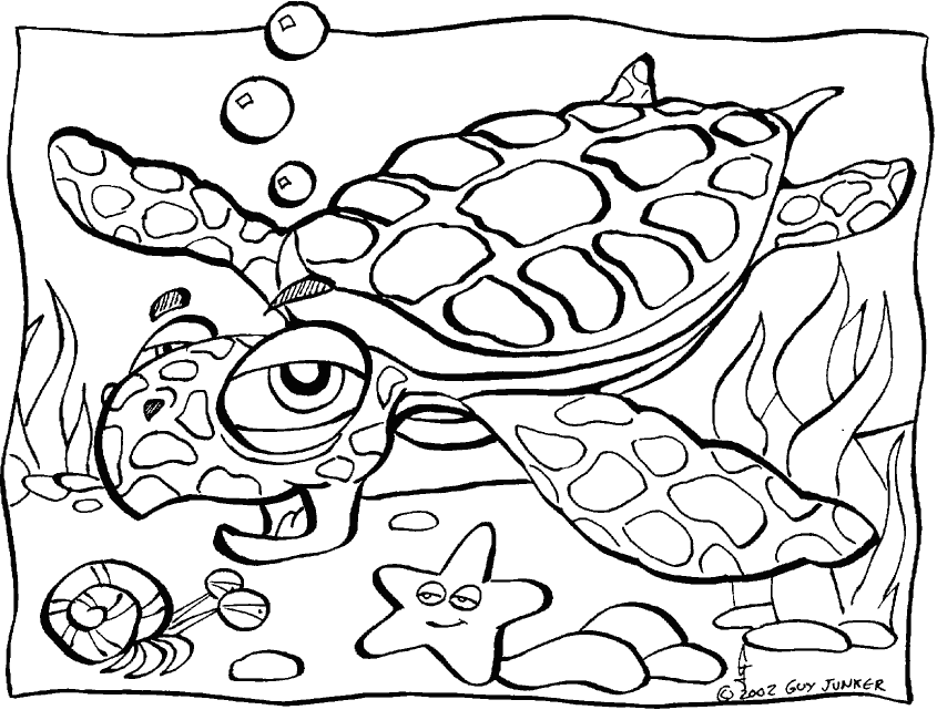 Раскраска Черепаха. Раскраска 11