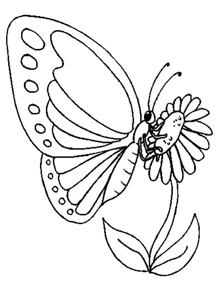 Раскраска Бабочки. Раскраска 35