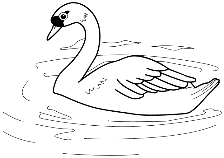 Раскраска Лебедь. Раскраска 1