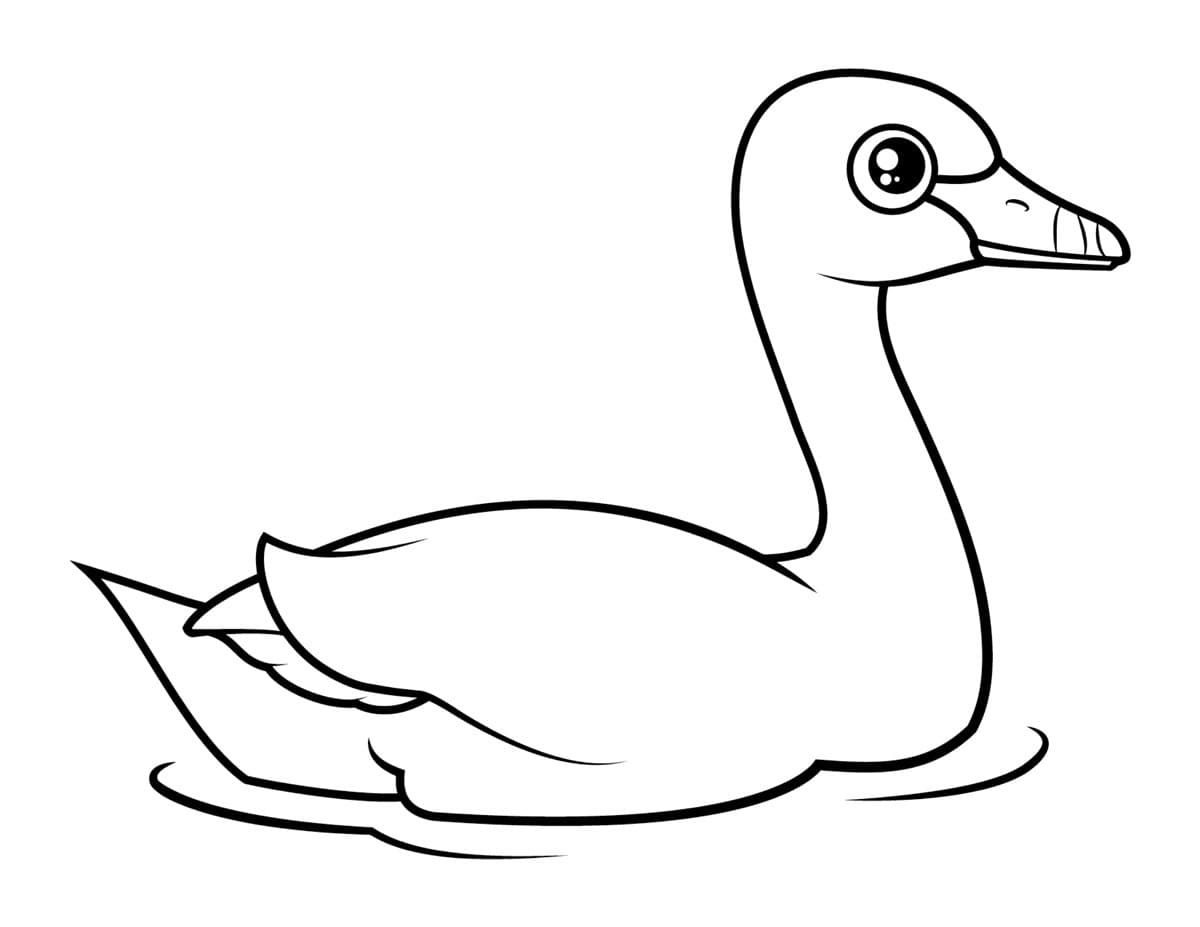 Раскраска Лебедь. Раскраска 5