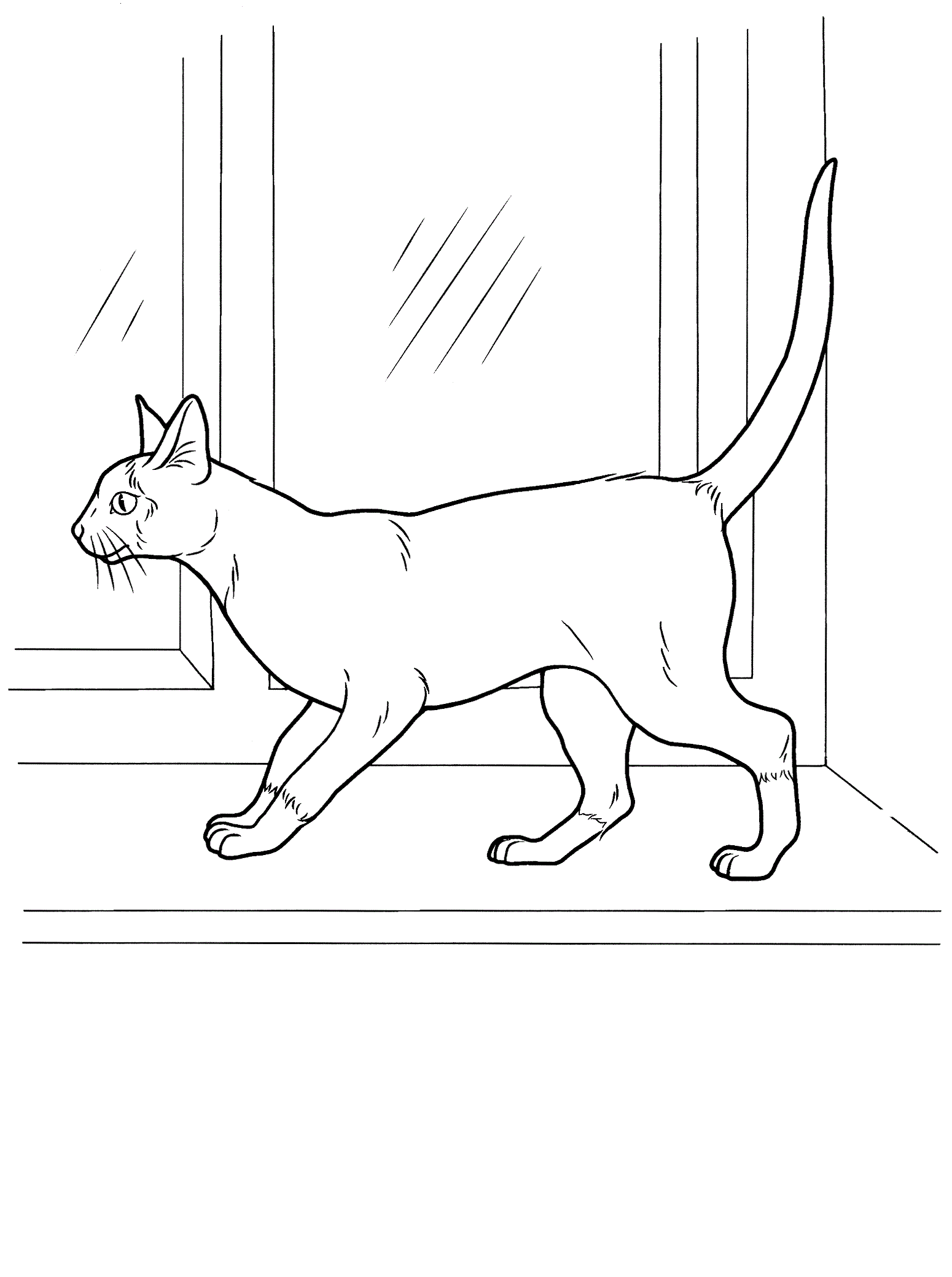 Раскраска Кошка. Раскраска 32