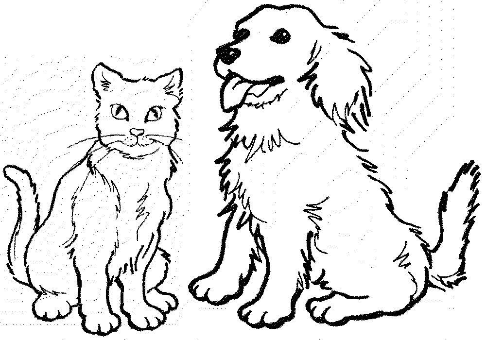 Раскраска Собака и Кошка. Раскраска 3