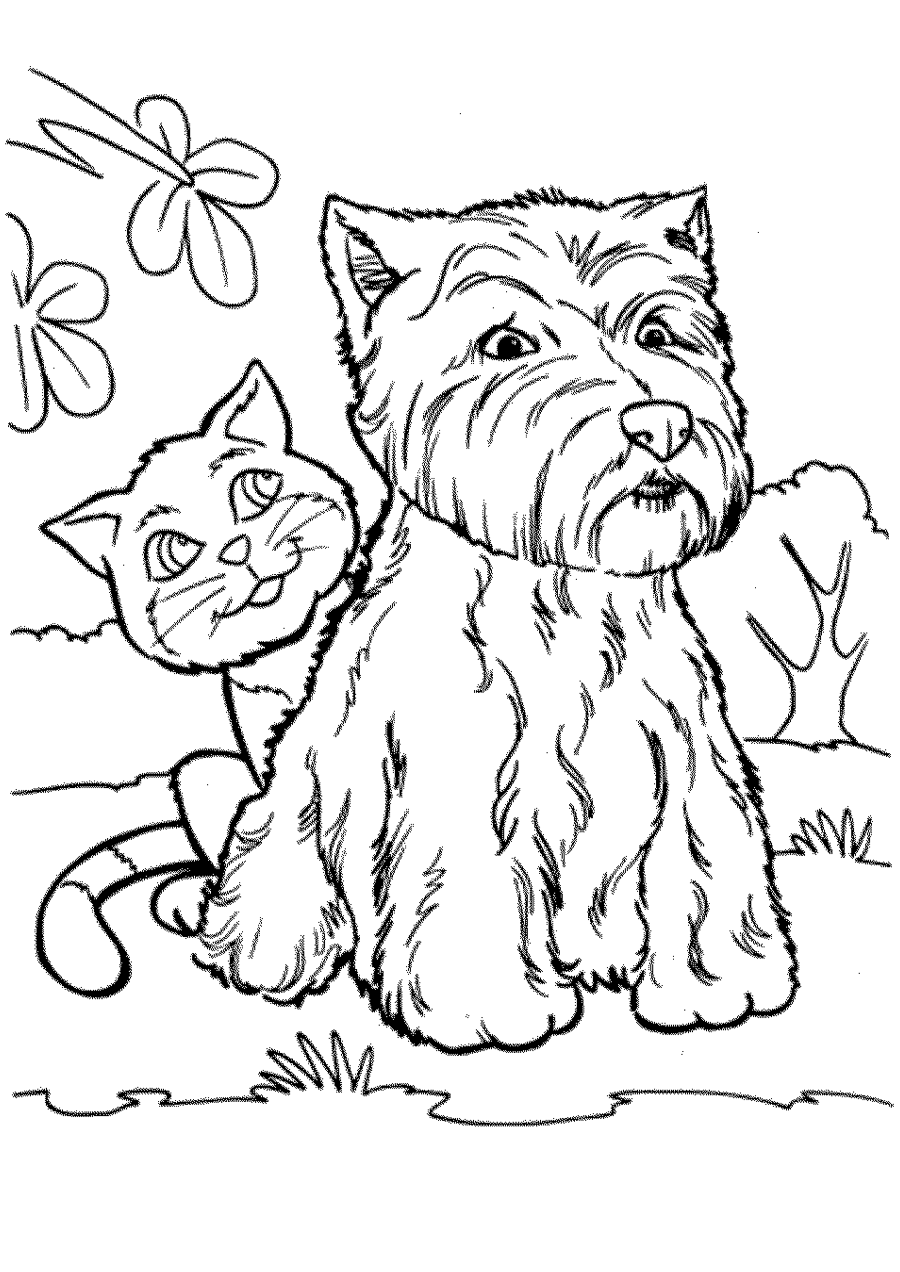 Раскраска Собака и Кошка. Раскраска 6