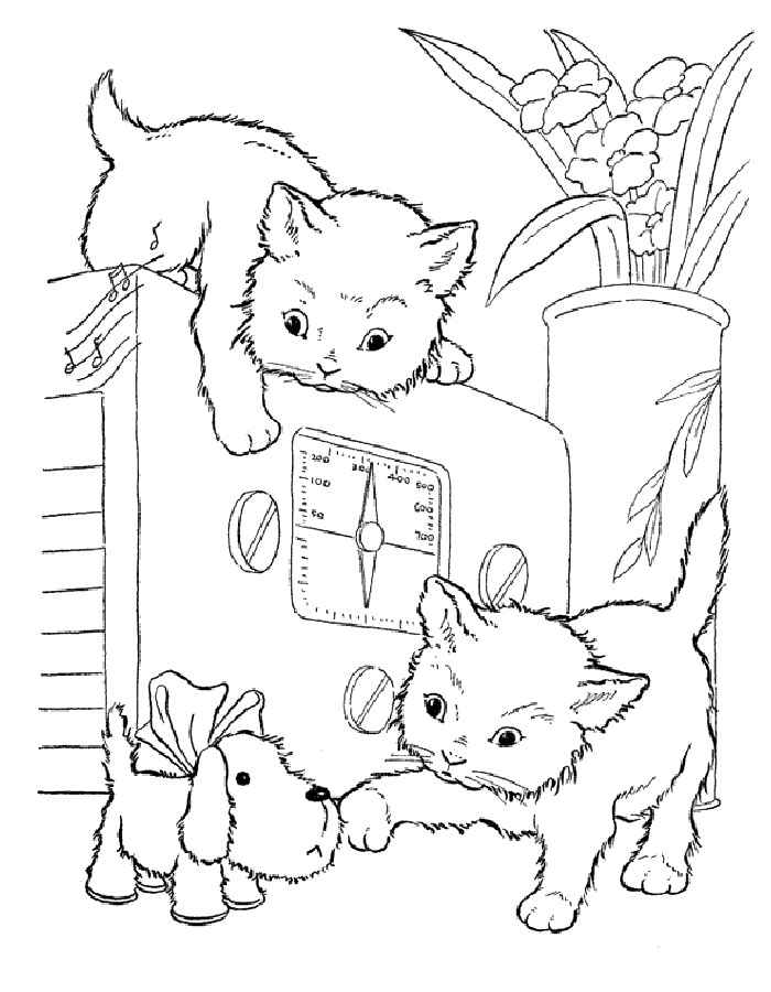 Раскраска Собака и Кошка. Раскраска 8