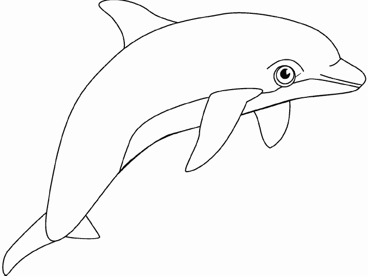 Раскраска Дельфин. Раскраска 7