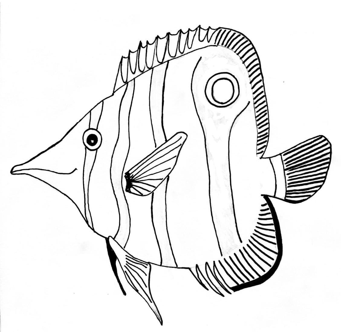 Раскраска Рыбка. Раскраска 22