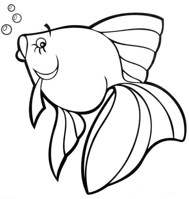 Раскраска Рыбка. Раскраска 30