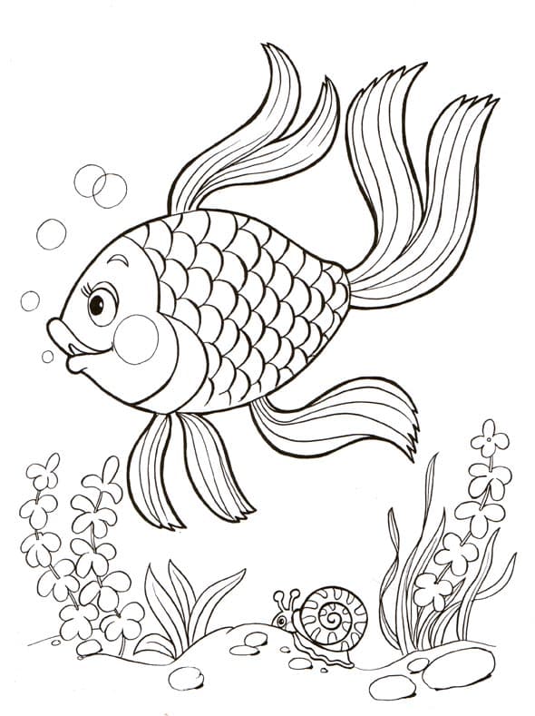 Раскраска Рыбка. Раскраска 14
