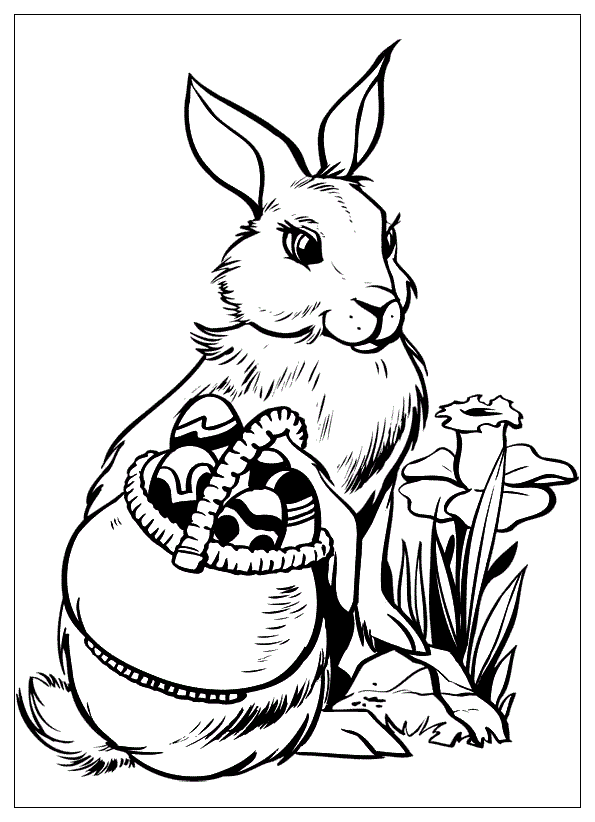 Раскраска Кролик. Раскраска 14