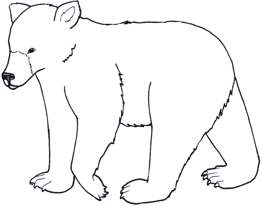 Раскраска Медведь. Раскраска 15
