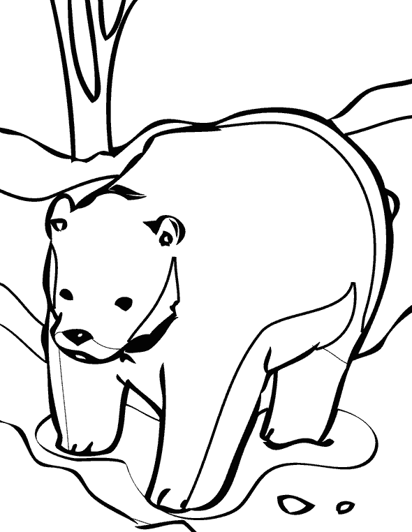 Раскраска Медведь. Раскраска 19
