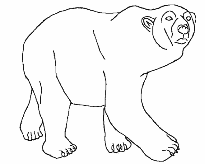 Раскраска Медведь. Раскраска 13