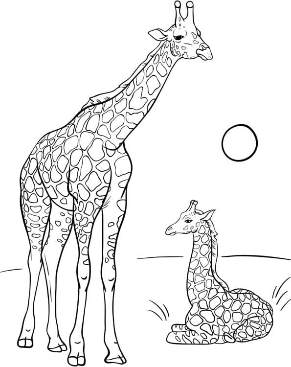 Раскраска Жираф. Раскраска 31