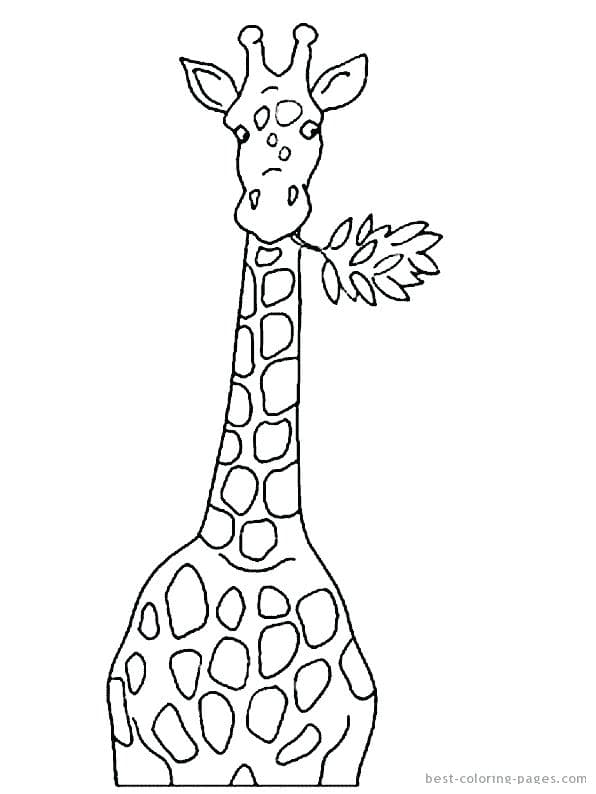 Раскраска Жираф. Раскраска 39