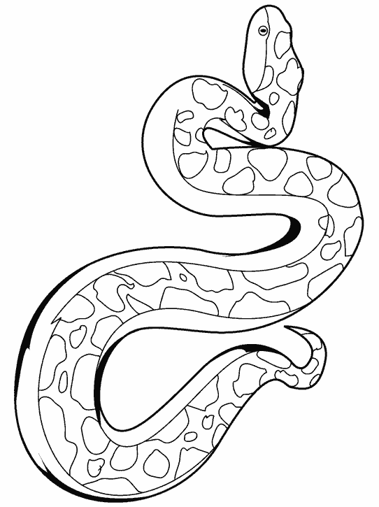 Раскраска Змея. Раскраска 1