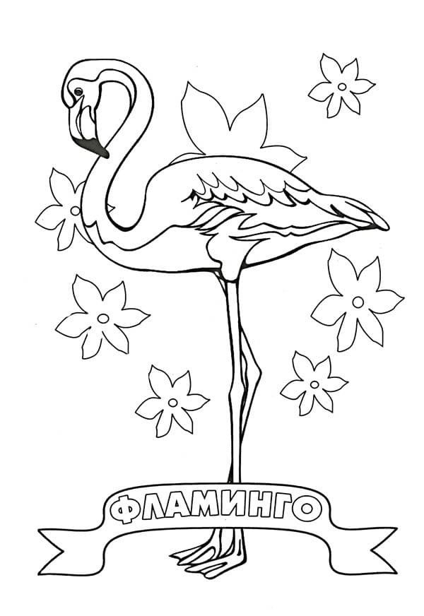 Раскраска Фламинго. Раскраска 2