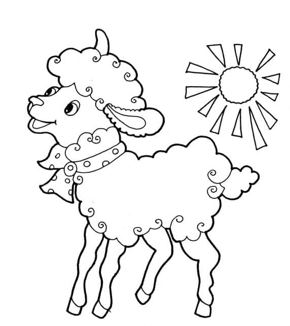 Раскраска Овца. Раскраска 6