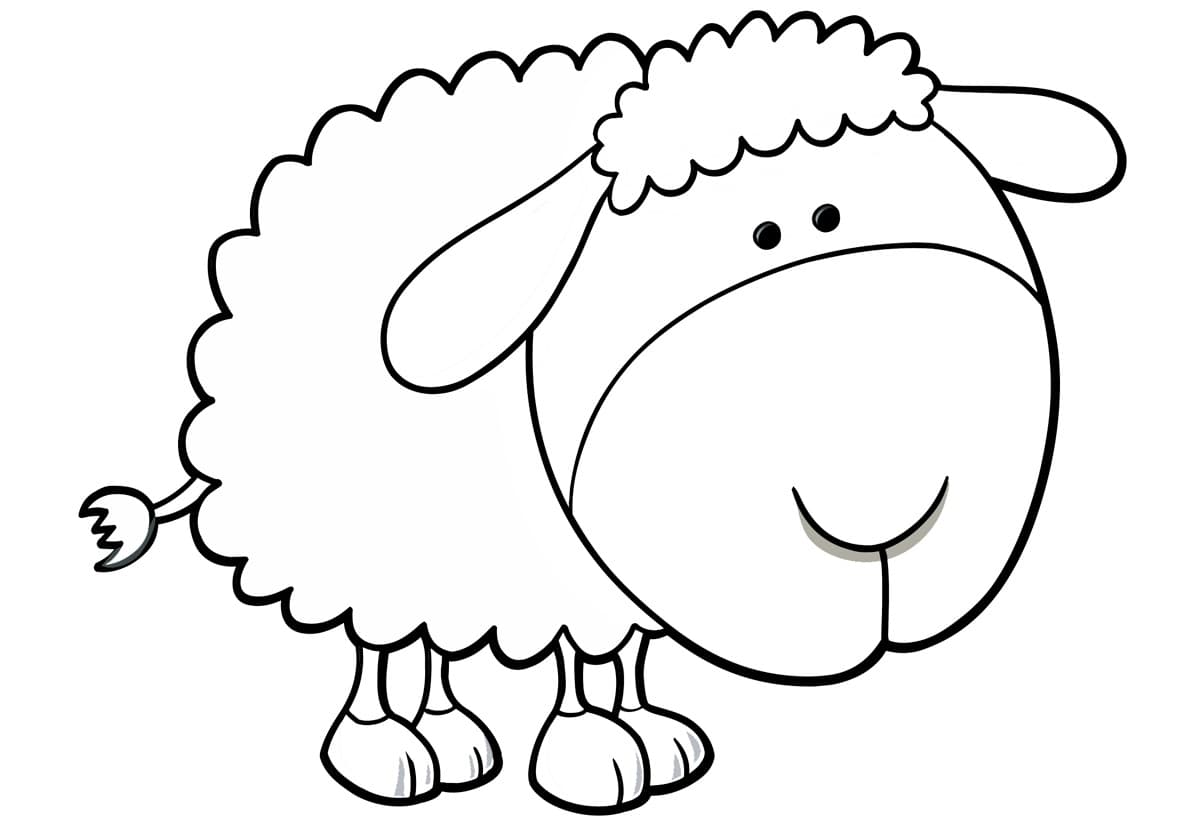 Раскраска Овца. Раскраска 14