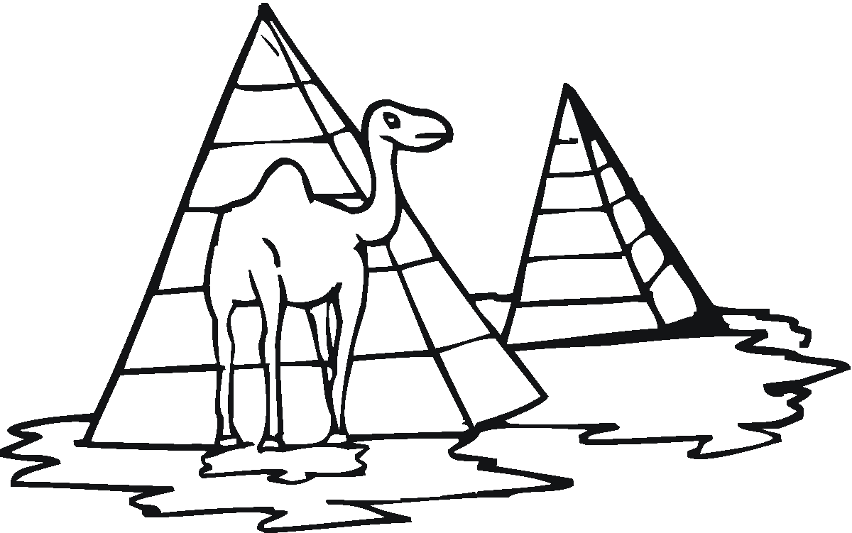 Раскраска Верблюд. Раскраска 6