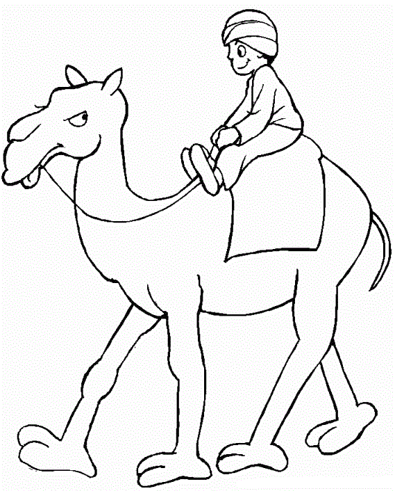 Раскраска Верблюд. Раскраска 8
