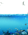 Раскраска Подводный мир