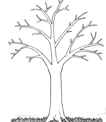 Раскраска Дерево без листьев. Раскраска 1