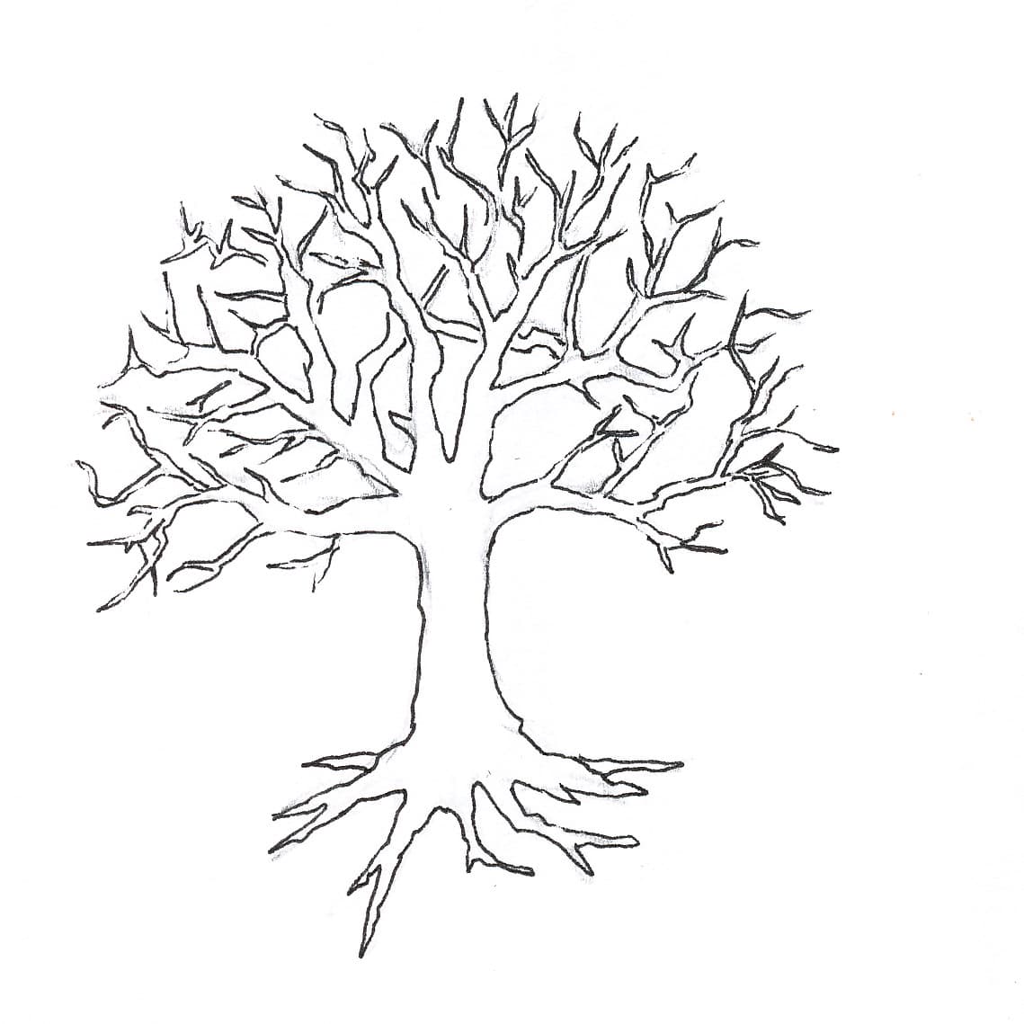 Раскраска Дерево без листьев. Раскраска 2