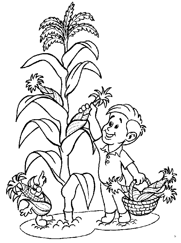 Раскраска Растения. Раскраска 7